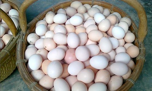 液體石蠟 液體石蠟